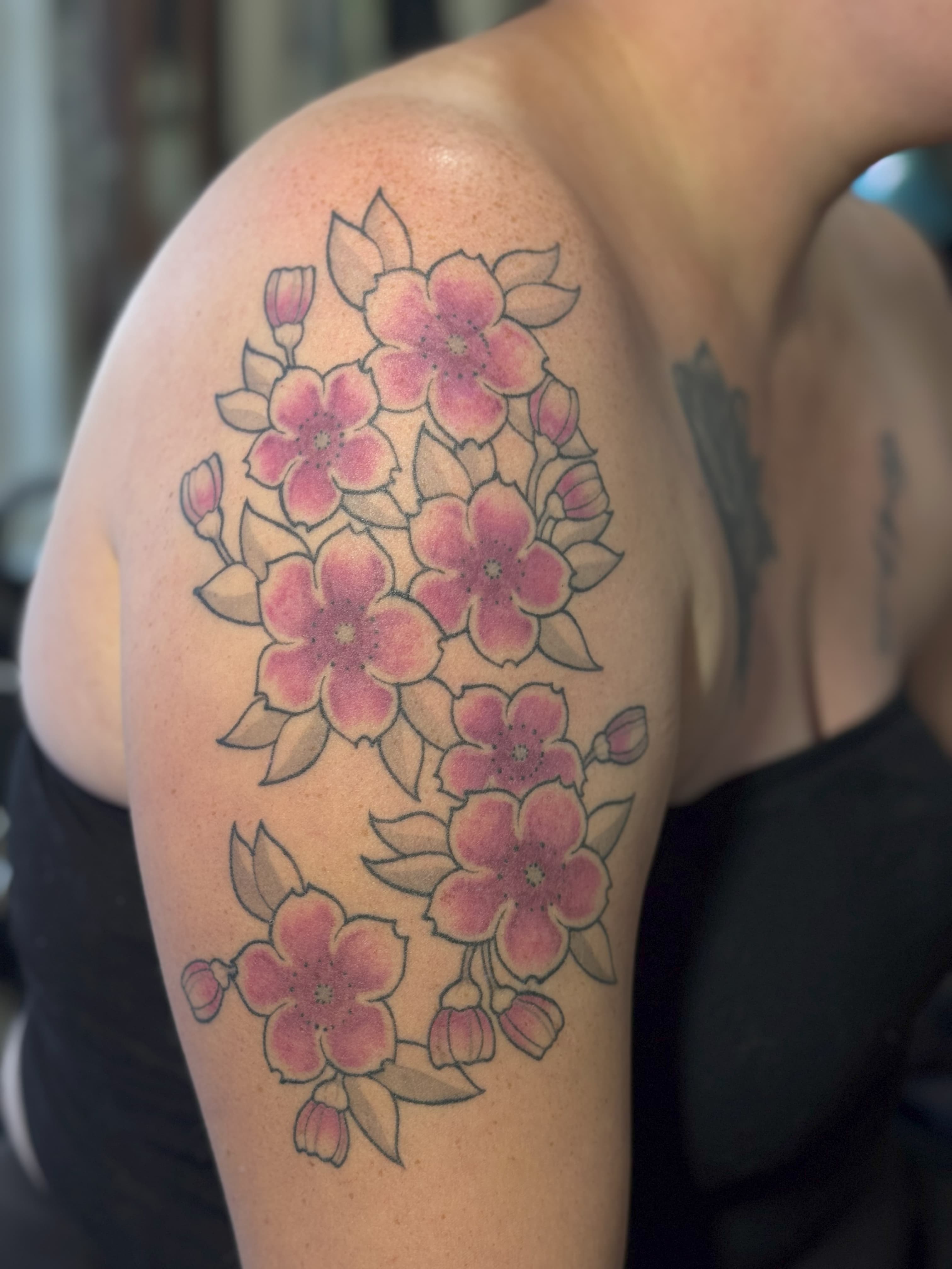 Neo-Traditional Cherry Blossoms